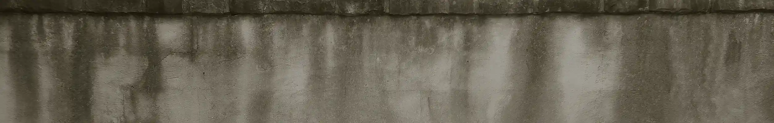 nav bar wall